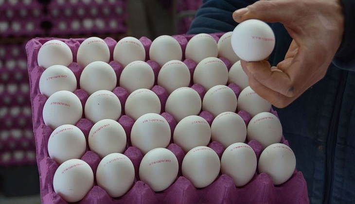 30'lu yumurtanın fiyatı birden 64 TL'ye düştü! Fiyatları görenin aklı başından uçtu! Son dakika!