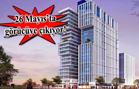 Businist Office projesi