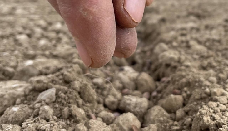 Tarımla uğraşanlar için altın tavsiye! Çekirdeğini sakın çöpe atmayın