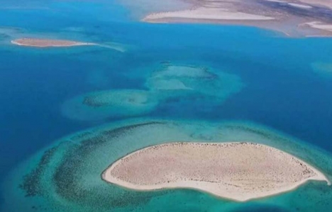 Suudi Arabistan Kızıldeniz'de dev proje!