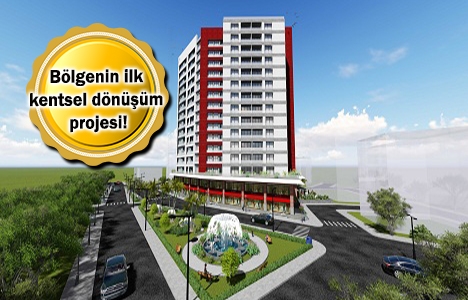 Livza Zeytinburnu projesi geliyor! Yeni proje!