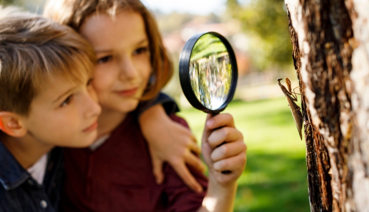 Okullar ne zaman kapanıyor? 2023 karneler ne zaman verilecek, yaz tatili iptal mi? 2023 MEB okulların kapanış tarihi!
