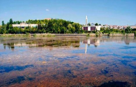 Ankara Mogan Gölü yeniden doğuyor!