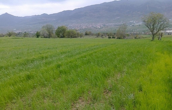 tapu satışı nasıl bozulur