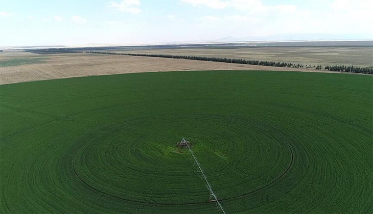 Marmaraereğlisi Belediyesi Tekirdağ da arsa satacak!
