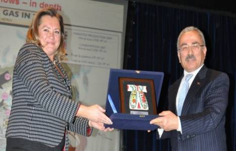 Hilmi Güler: Geçmişte enerjinin kralı petroldü, günümüzde doğal gaz!