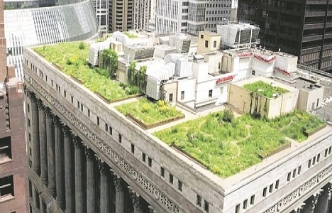 İşte dünyanın en yeşil 10 şehri!