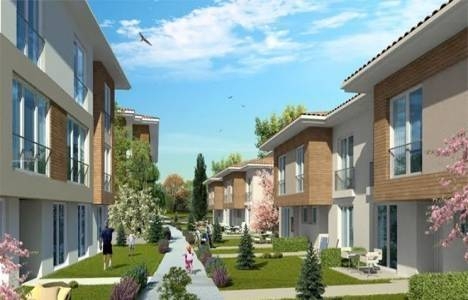 Dekar Asmalı Bahçeler satılık