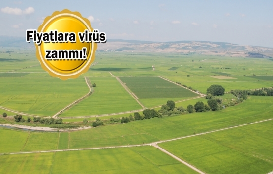 Kovid-19 sonrası arsa talebi yüzde 400 arttı!