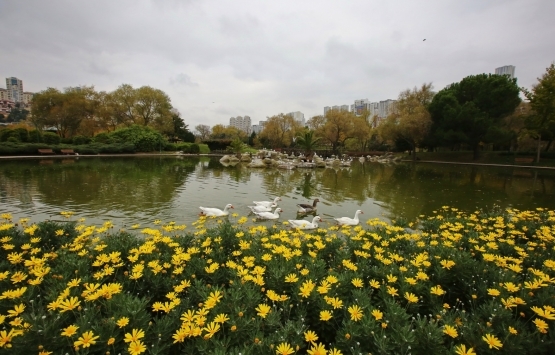 Bahçeşehir Göleti nde inşaat ruhsatı iptal edildi!