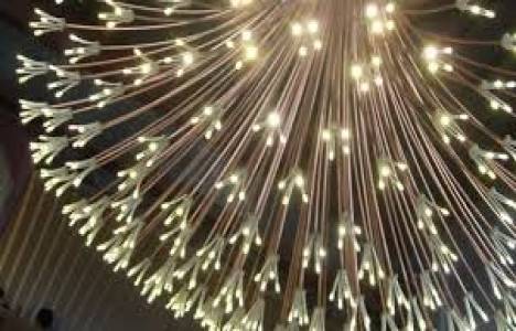 1 LED lamba yılda 16 ağacı kurtarıyor!