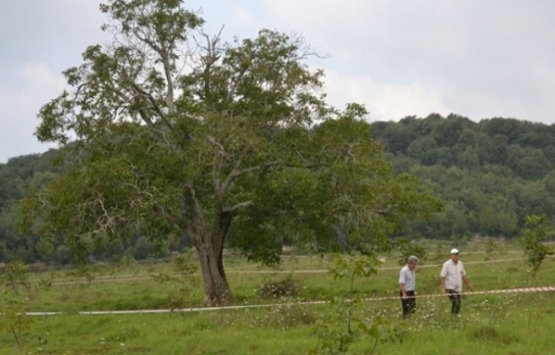 Devletin el koyduğu arazi yöre halkına tahsis edildi!