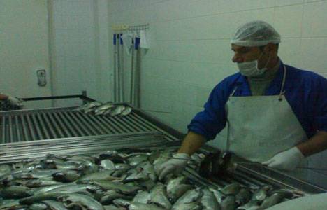 Su ürünlerine özel Ar-Ge merkezi kurulacak!