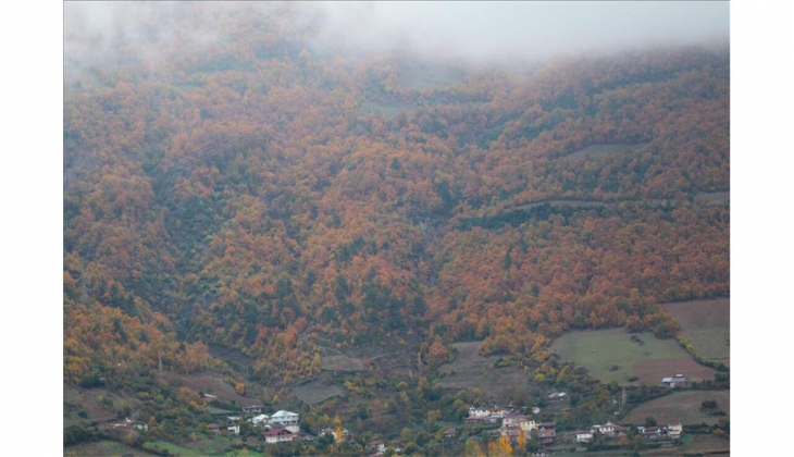 Belediye den büyük fırsat! 13 adet gayrimenkul satacak!