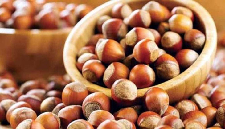 2023 yılı Türkiye'nin tahmini fındık rekoltesi: 717 bin 931 ton