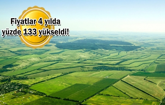 Arsa ve arazi fiyatları en çok hangi illerde arttı?