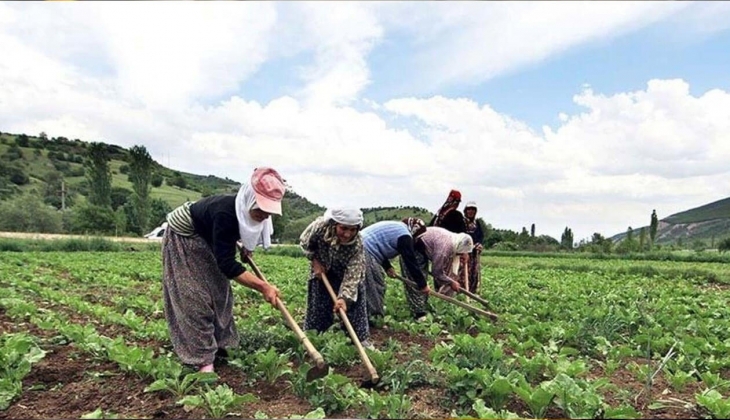 Çiftçiler dikkat! Gübre fiyatları uçtu! 09 Mart 2023 gübre fiyat listesi 