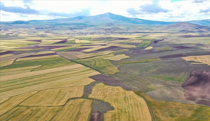 İzmir Bergama'da 7 adet arazi satılıyor! İhalesi 6 Aralık'ta!