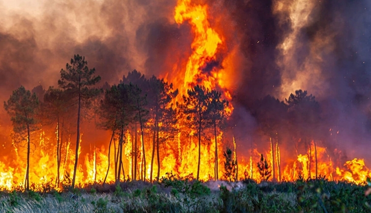 Geçen sene çıkan orman yangınlarından 830 unun sebebi ihmal ve kazalar! Türkiye nin yangın bilançosu açıklandı! 