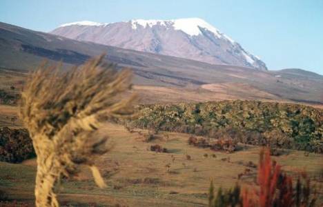 İklim değişikliğine uyum için kentsel planlama! 