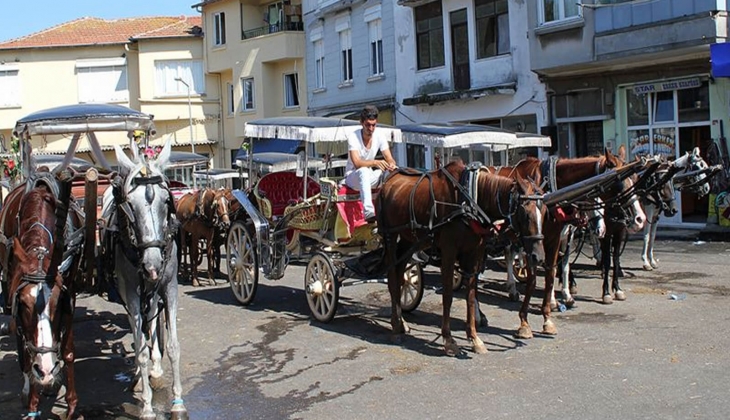 İstanbul Adalar halkı ayaklandı! İmar planının iptali için dava açılıyor!