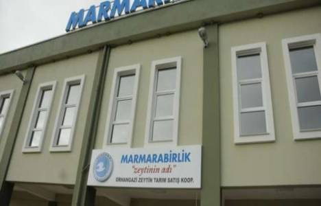 Marmarabirlik'in çevre dostu projeleri en başarılı projeler içinde yer aldı!