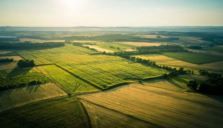 Ucuza arsa arıyorsanız dikkat! Bu habere hemen bakın