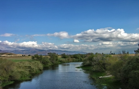 Gediz Nehri taştı, tarım arazileri su altında kaldı!