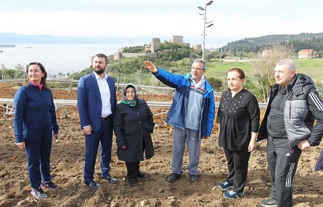 Gebze Macera Parkı projesi