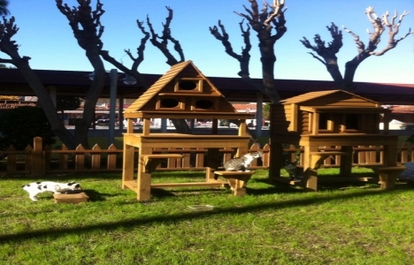 Alanya Belediyesi 'Kedi Parkı' oluşturdu!