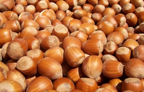 Fındık için lisanslı depo ihtiyacı arttı!