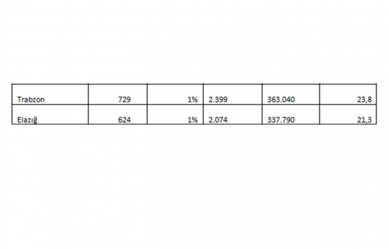 Konut fiyatları en çok hangi illerde arttı?