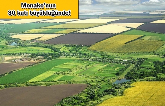 60 milyon metrekare Hazine arazisi yatırımcılara tahsis edilecek!