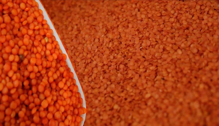 Toprak Mahsulleri Ofisi açıkladı! Kırmızı mercimek alım fiyatı belli oldu!