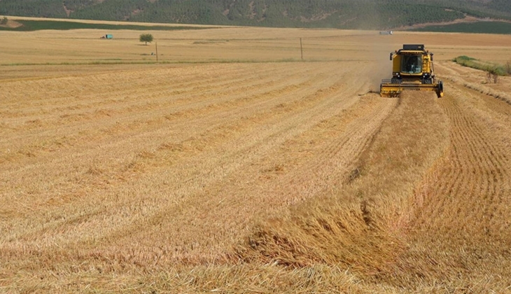 Çiftçiler dikkat! Buğday alım fiyatı bugün kaç lira oldu? İşte TMO ve ticaret borsaları 11 Temmuz 2022 fiyat listesi...