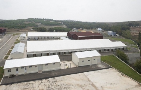 Pendik Modern Kurban Alanı hizmete giriyor!