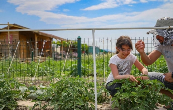 İzmir deki hobi bahçelerine Kovid-19 akını!