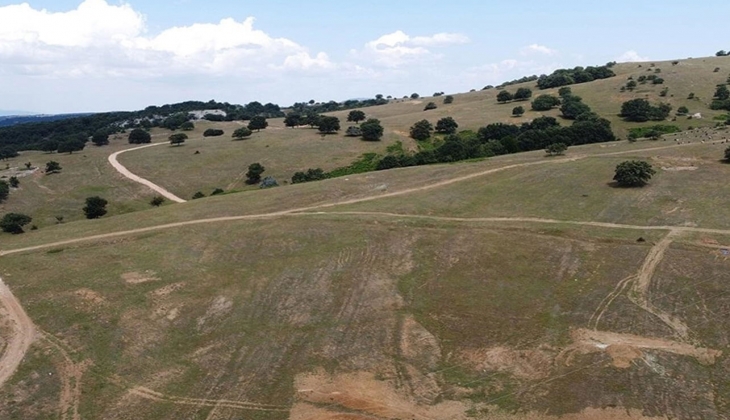 Avrupa nın en çok altın madenciliği yapılan ülkesi Türkiye de uzmanlar ikiye ayrıldı! Altın mı, çevre ve insan mı?