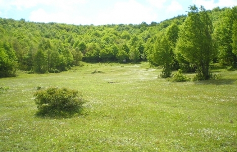 Delmece Yaylası imar planı