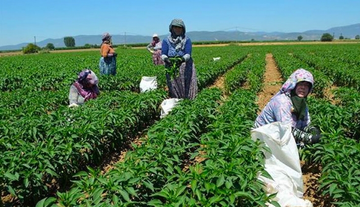 Bu şehirde yaşayan çiftçilere müjde! 30 milyonluk destek