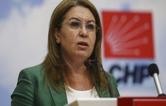 Mustafa Demir: Ahlat taki Cumhurbaşkanlığı Sarayı tarihi ve milli bir projedir!