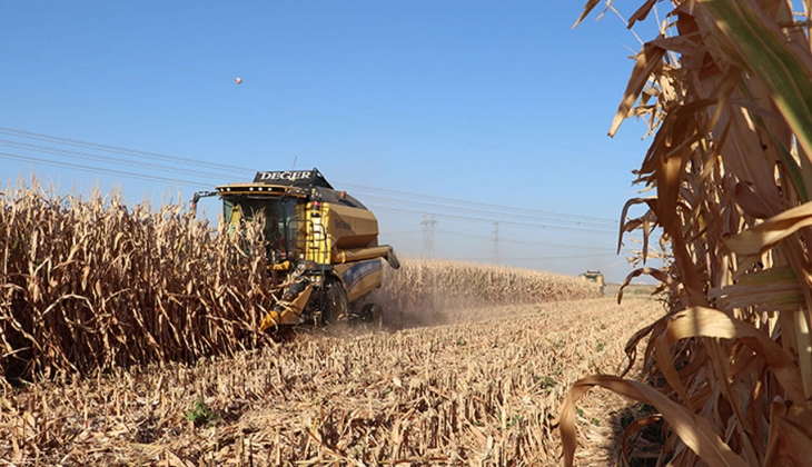 Mısırda taban fiyat 10 TL olacak mı? Çiftçiler dikkat! 