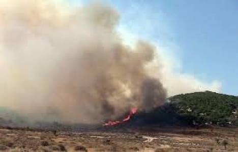 İzmir Foça ve Gümüldür'de yangın çıktı!