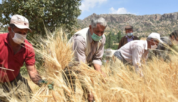  Çiftçiler dikkat, toprağa eken kazanıyor! 229 milyon dolardan 306 milyon dolar getirdi