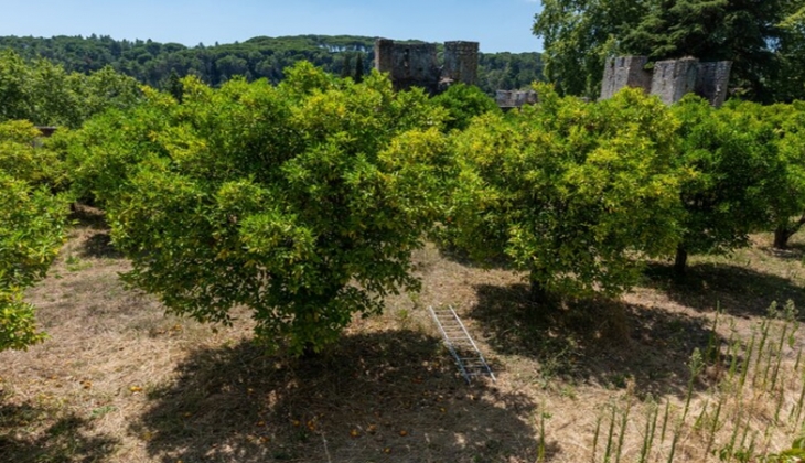 Milli Emlak’tan Trabzon ve Karabük’te 18 bin  750 TL’den başlayan fiyatlarla arsa ve arazi fırsatı!