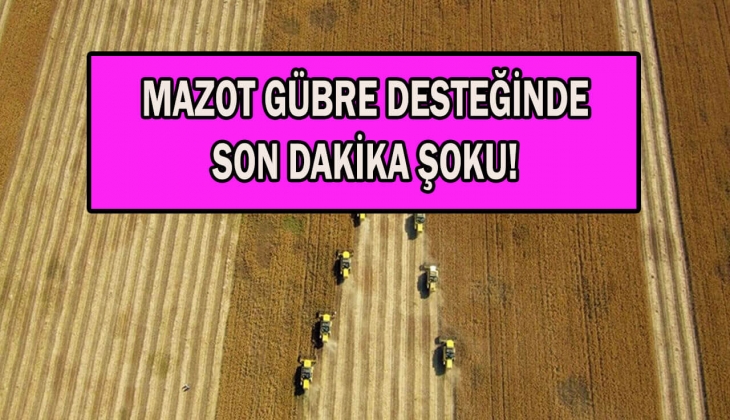 Çiftçiler dikkat! Asgari ücret zammı mazot ve gübre desteğine yansıyacak mı? Mazot gübre desteği kaç TL? Hemen bakın!