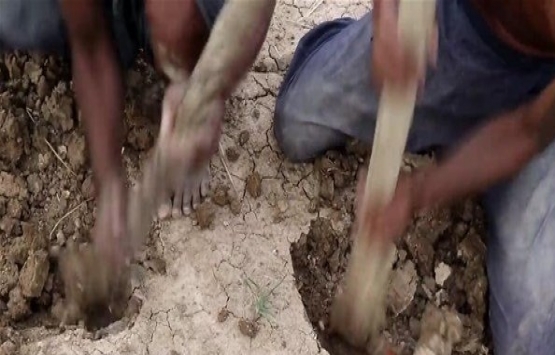 Youtube fenomenleri kısa sürede kendi evlerini yaptılar!