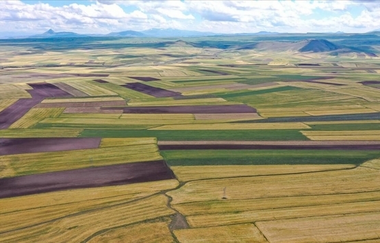 Miras kalan arsa mirasçılar arasında nasıl bölüşülür?