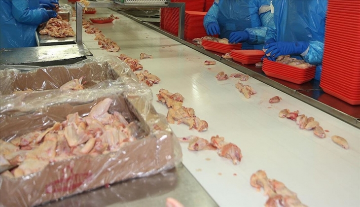 Tavuk üretimi arttı! Peki fiyatlara yansıdı mı? İşte BİM, ŞOK, MİGROS; CarrefourSa tavuk eti Mart 2022 fiyat listesi!