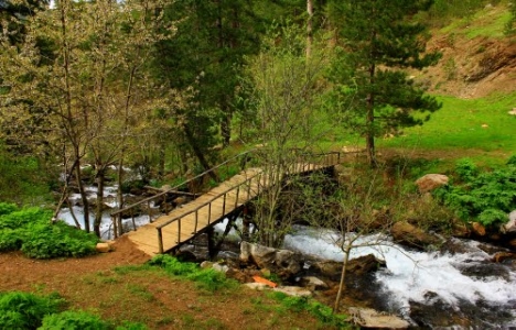 Antalya TVK Bölge Komisyonu 57. toplantı gündemi belli oldu!